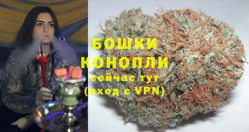 Бошки марихуана OG Kush  Воронеж 